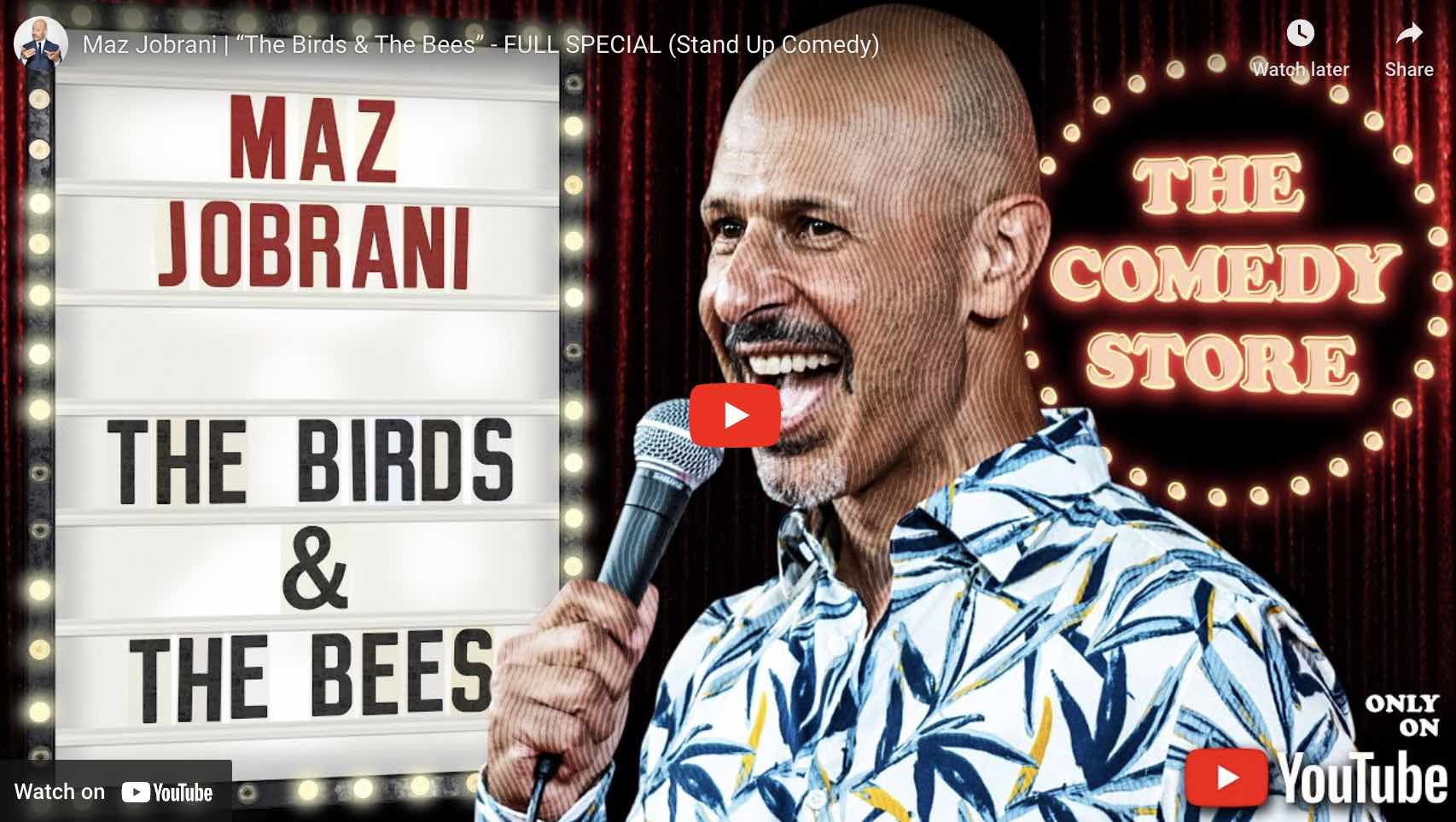 Featured image for “MAZ JOBRANI – THE BIRD & THE BEES”