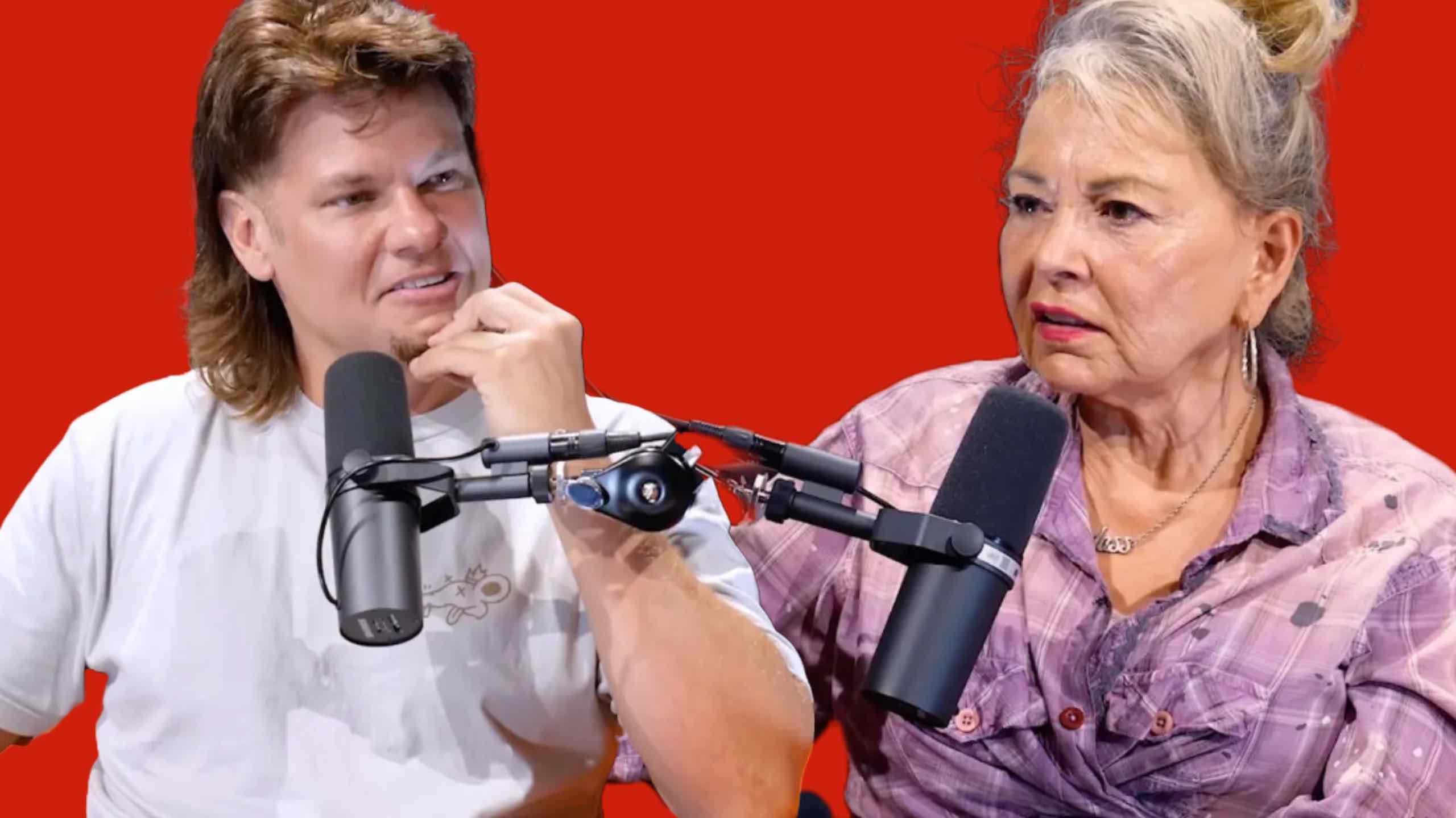 Featured image for “HERE’S THE REAL REASON ROSEANNE NEEDS TO BE CANCELED AGAIN. (MAYBE TAKE THEO VON OUT TOO!)”